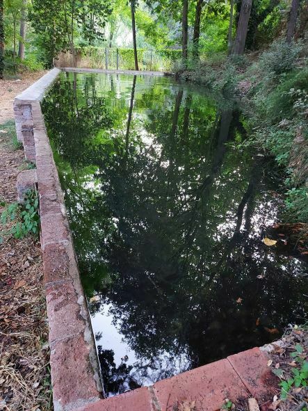 Imatge pels mitjans: El Safareig de la Font de Can Camp