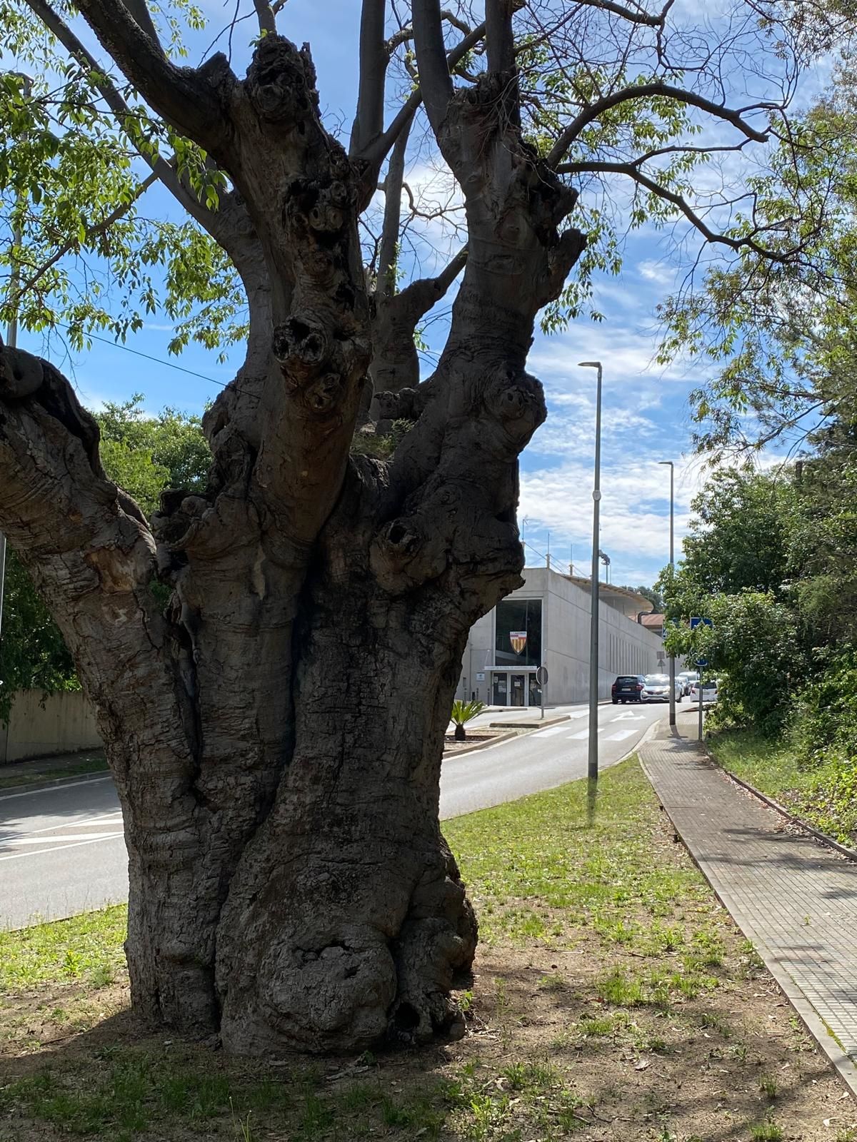 Centenari del C.F. Martorelles i tricentenari del llefoner del nostre poble