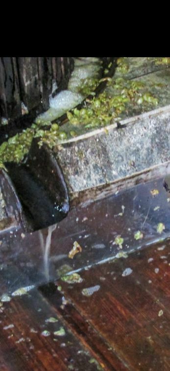 Imagen para los medios: 273-5 El suc del vi