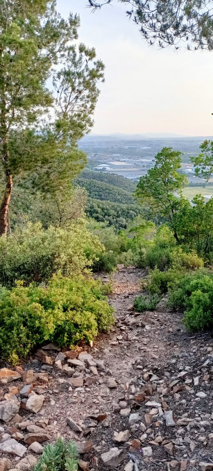 Martorelles entre corriols (localització baixada cap al poligon)