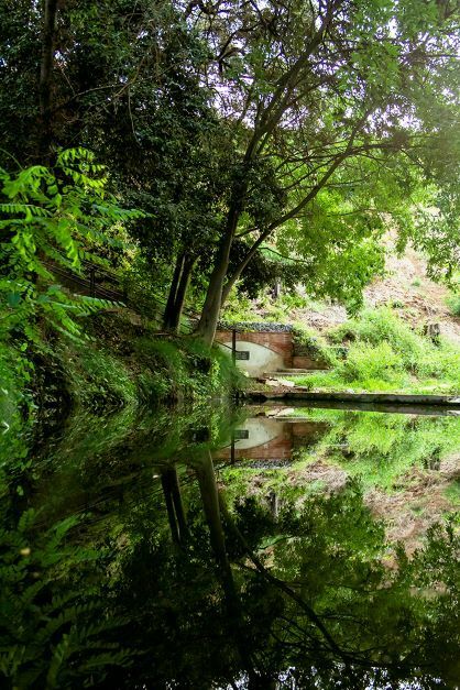 Imagen para los medios: 284-6 Genuino   