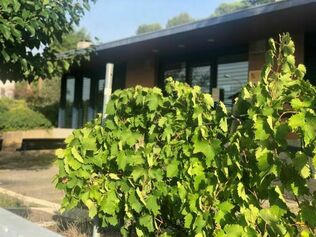 17_Moments de  VID-A_Biblioteca Montserrat Roig.jpg