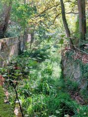 04_Bosque_Martorelles.jpg